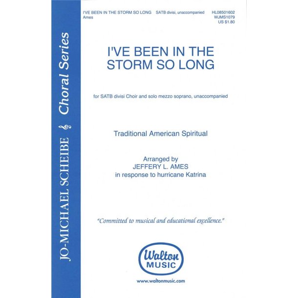 I've Been in the Storm So Long