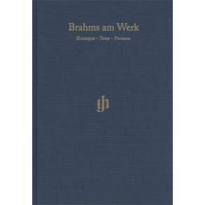 Brahms am Werk : Konzepte, Texte, Prozesse