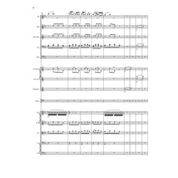 Festspiele von 1812 und 1822 : Series IX Volume 8, with critical report