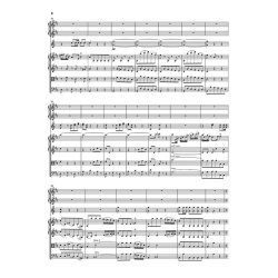 Sinfonien um 1761-1765 : with critical report