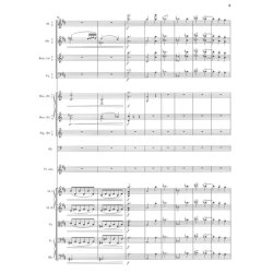 Violinkonzert D Dur Op 77