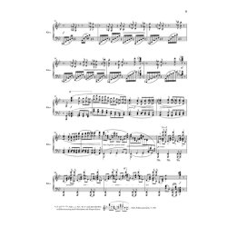 Klavierkonzert Nr. 2 B-dur op. 83 : with critical report