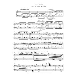 Six tudes pour piano : Premiere Livre Opus 52