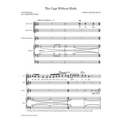 The Cage Without Birds