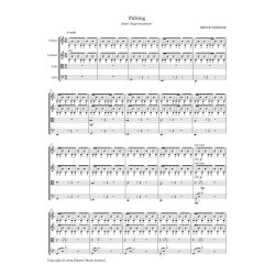 Pulsing (from Impermanence)