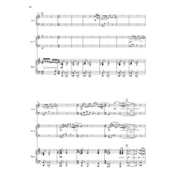 Concerto for Two Accordions : piano reduction and solo parts