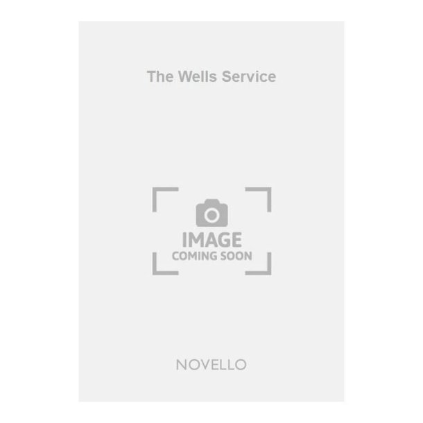 The Wells Service