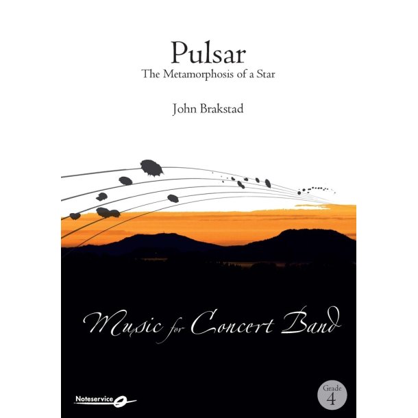 Pulsar - The Metamorphosis of a Star