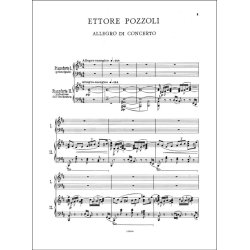 Allegro di concerto : Riduzione per 2 pianoforti