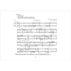 Duale B : Two versions