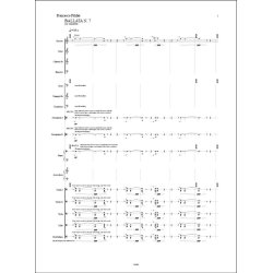 Ballata n&deg; 7 : per ensemble (2018)