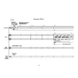 Laminar Flow : for piano/percussions quartet
