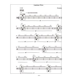 Laminar Flow : for piano/percussions quartet