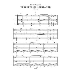 Terzetto concertante M.S. 114 : per viola, violoncello e chitarra