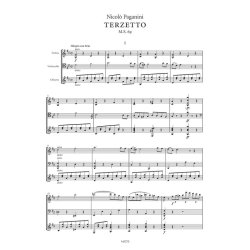 Terzetto M.S. 69 : per violino, violoncello e chitarra | for violin, cello and guitar