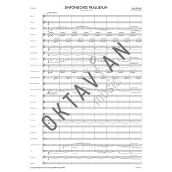 Sinfonisches Pr&auml;ludium : Orchestersatz c-Moll