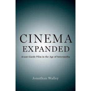 Cinema Expanded : Avant-Garde Film in the Age of Intermedia