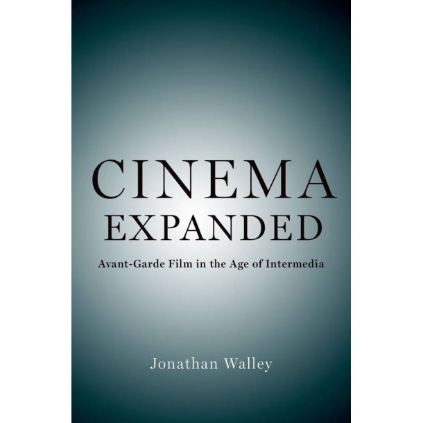 Cinema Expanded : Avant-Garde Film in the Age of Intermedia