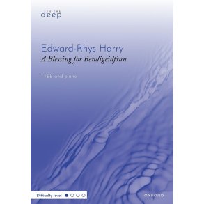 A Blessing for Bendigeidfran : Bendith Bendigeidfran