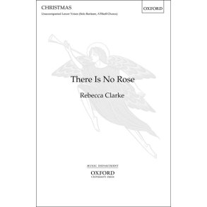 There is no rose (Paperback)