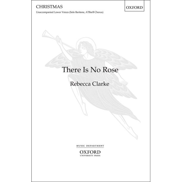 There is no rose (Paperback)