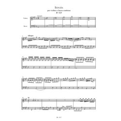 Sonata per violino e basso continuo RV 829 : Edizione critica di | Critical edition by Javier Lupi&aacute;&ntilde;ez Ruiz e Fabrizio Ammetto