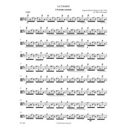 La Caterdal : Julia Florida for Viola