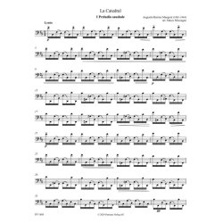 La Caterdal : Julia Florida for Violoncello