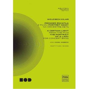 A Certain Light : From The Film 'The Portrait Of A Lady'