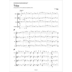 Tribe : Strinq quartet no. 14
