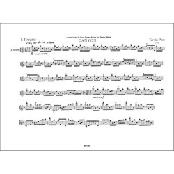 Canyon : for Solo Marimba