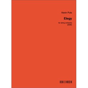 Elegy : for String Orchestra