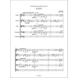 Elegy : for String Orchestra