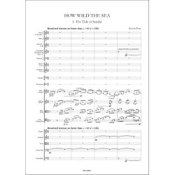 How Wild the Sea : for String quartet & Orchestra