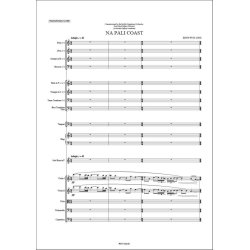 Na Pali Coast : for french horn and orchestra