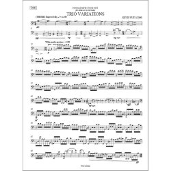 Trio Variations