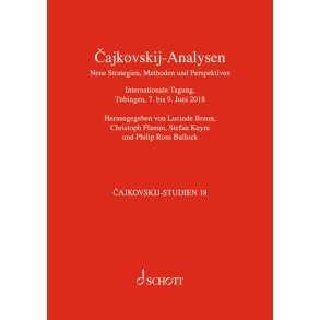 Vajkovskij-Analysen : Neue Strategien, Methoden und Perspektiven Band 18