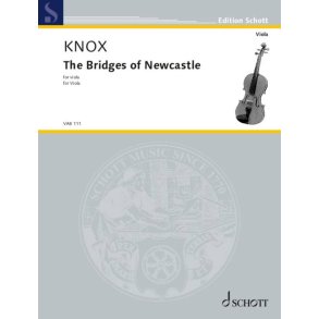 The Bridges of Newcastle : (The broon toon tune)