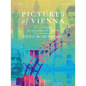 Pictures of Vienna : Playing with the Chamber Orchestra