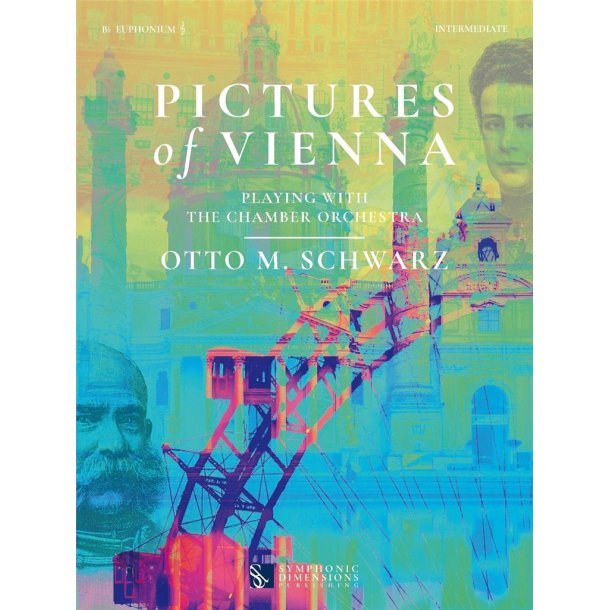 Pictures of Vienna : Playing with the Chamber Orchestra