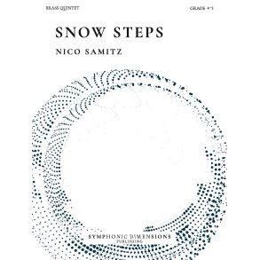 Snow Steps
