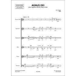 Agnus Dei : pour soprano solo & choeur mixte