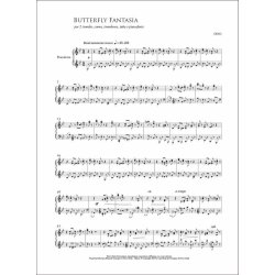 Butterfly Fantasia : per quintetto d?ottoni e pianoforte