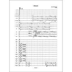 Rituale : f&uuml;r Orchester