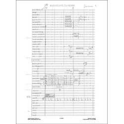 Radiographie d'un roman