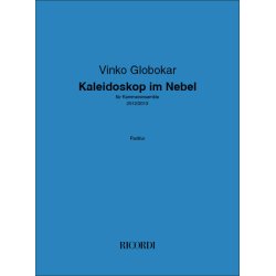 Kaleidoskop im Nebel : f&uuml;r Kammerensemble