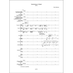 Kaleidoskop im Nebel : f&uuml;r Kammerensemble