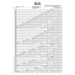 Womb : for orchestra (2013)