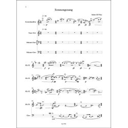 Sonnengesang : f&uuml;r Tenor Solo, M&auml;nnerchor und Kontrabassfl&ouml;te