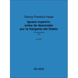 Iguaz&uacute; superior : antes de descender por la Garganta del Diablo